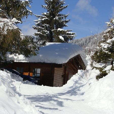 Chalets Ebner Eben Im Pongau Zewnętrze zdjęcie